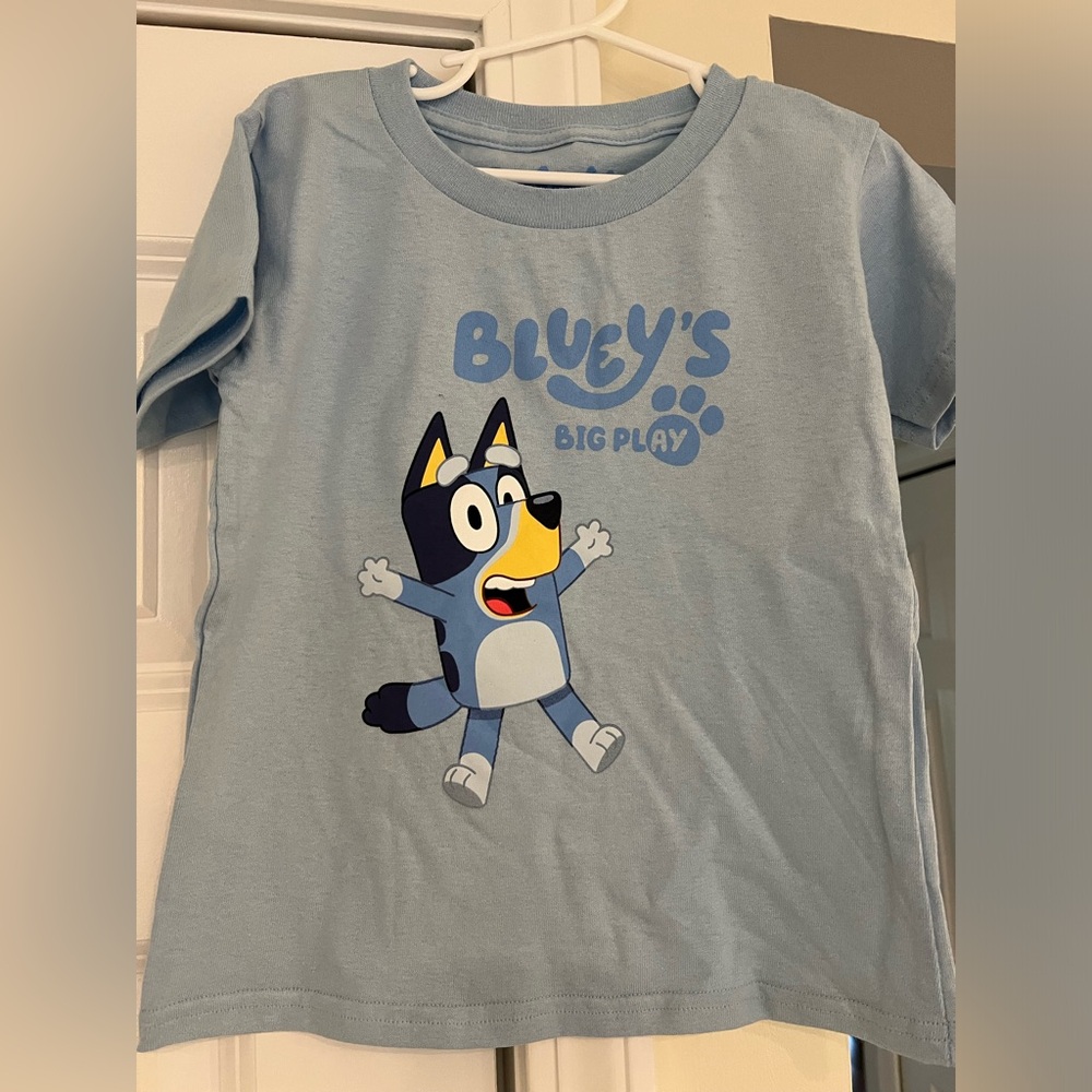 Bluey’s Big Play Toddler T-Shirt Size 4T | Official Bluey Graphic Tee Kids Shirt